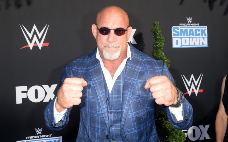 Bill Goldberg, an American who transitioned from football to professional wrestling, has an estimated net worth of $16 million as of March 2024.