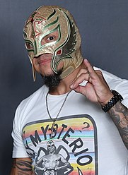 Rey Mysterio, an American professional wrestler and entrepreneur, has achieved numerous wrestling accolades throughout his career. In addition, he actively participates in various media projects, including video games and movie roles. As of March 2024, experts estimate his net worth to be $10 Million.